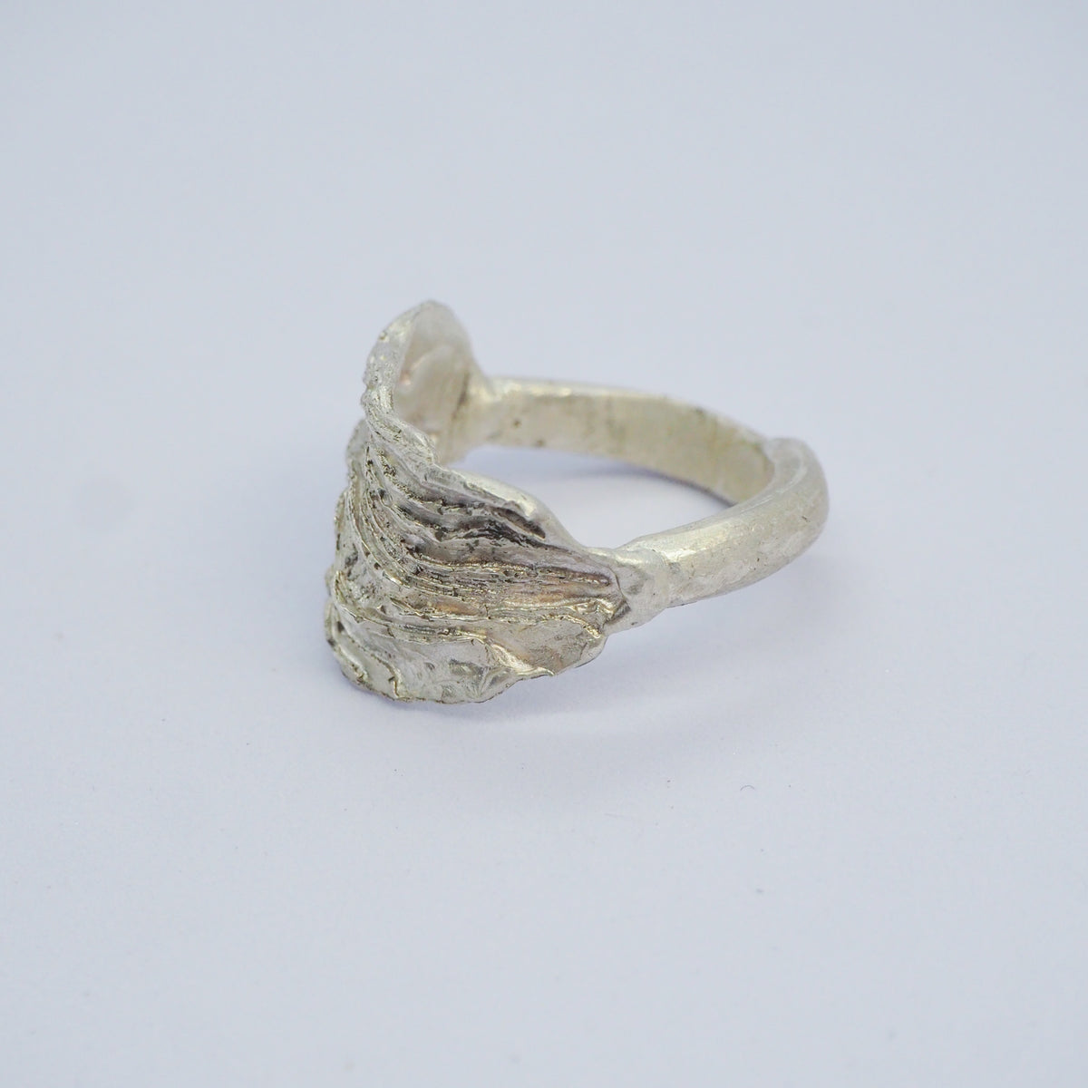 Oyster Layers