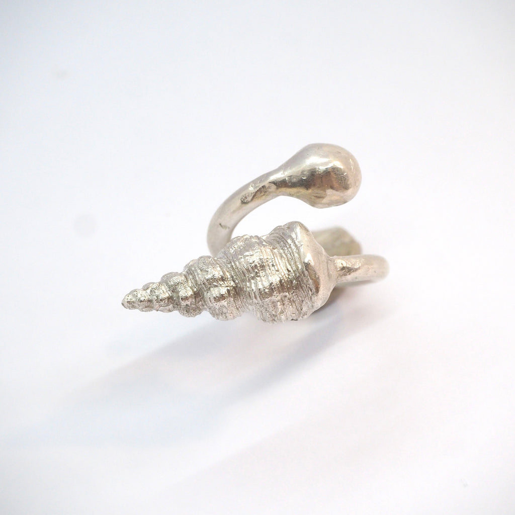 Shell Echo