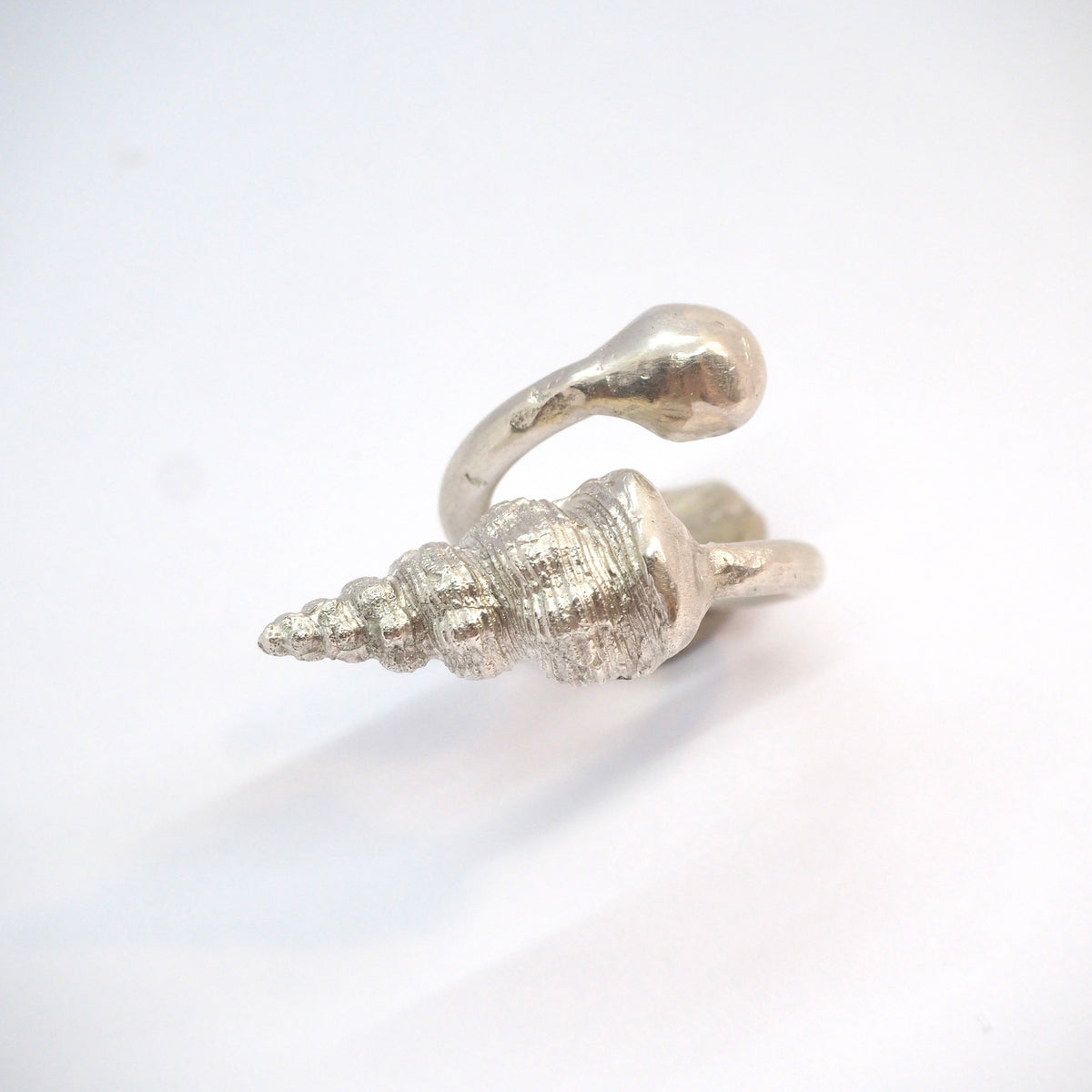 Shell Echo