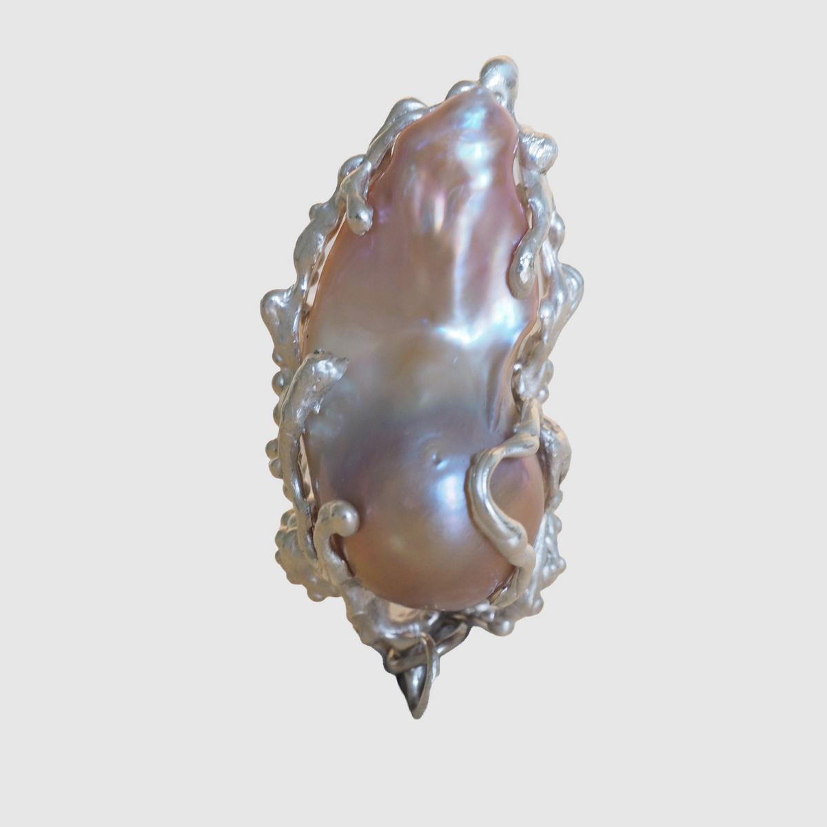 Coral Bloom