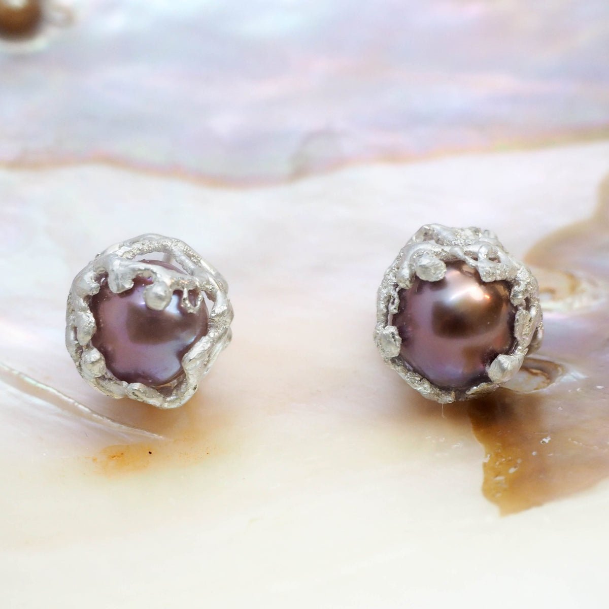 Reef Shell